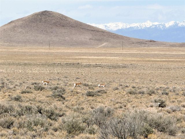 Lot 27 County Road 45, Blanca, CO 81123