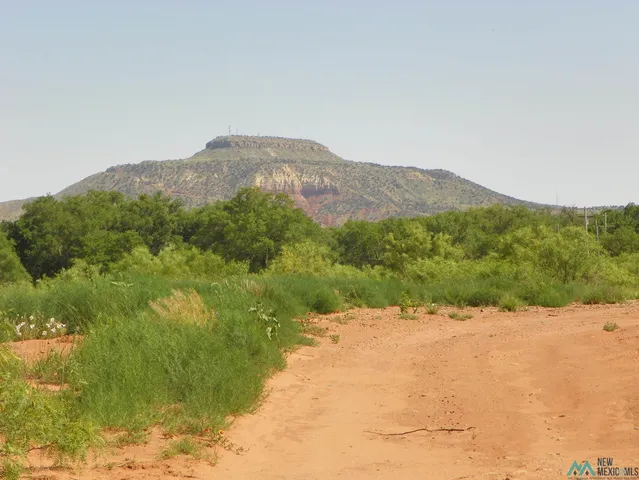 1702 E  Saxon Ave, Tucumcari, NM 88401