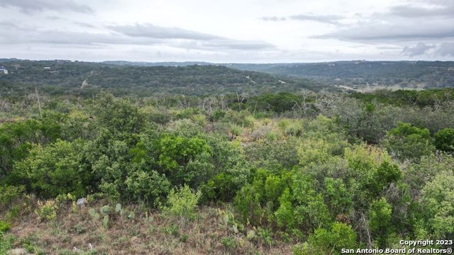 19 County Road 273 LOT 19, Mico, TX 78056