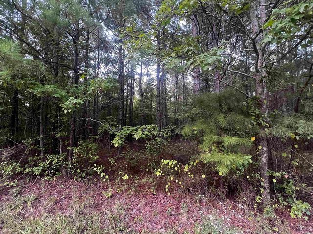 Lanni Ln, White Hall, AR 71602