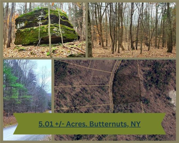 Lot 25 Musson Erwin Rd, Mount Upton, NY 13809