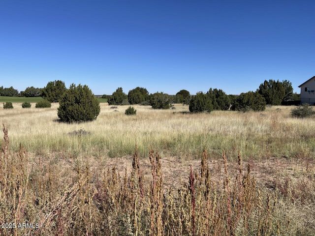 1951 CREEKSIDE Circle #77, Show Low, AZ 85901