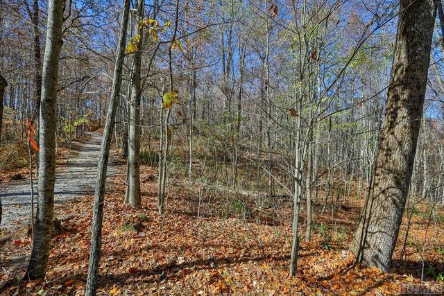 Buck Knob Rd, Scaly Mountain, NC 28775