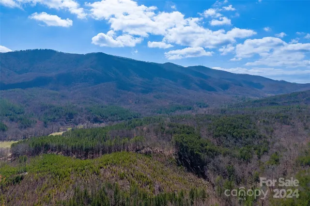 TRACT One Holbert Cove Rd, Mill Spring, NC 28756