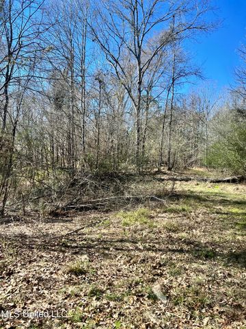 Crooked Creek Rd, Crosby, MS 39633