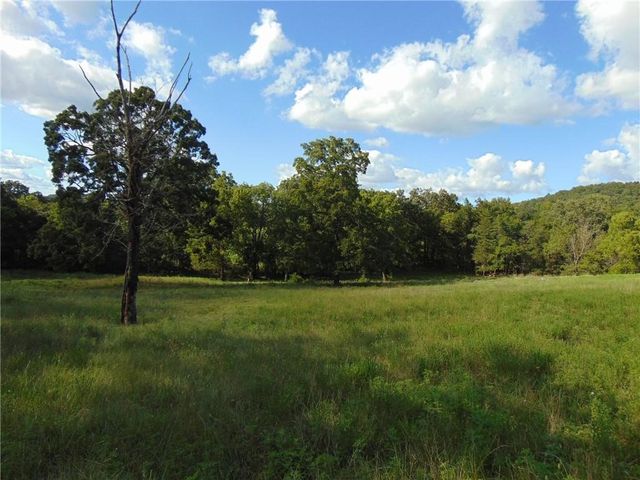 3390 County Road 608, Berryville, AR 72616