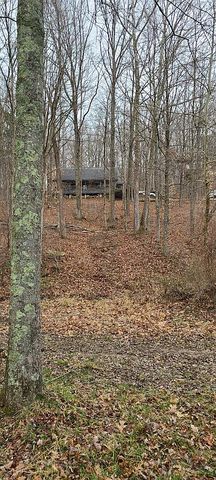 4450 Peggy Hollow Rd, Shoals, IN 47581