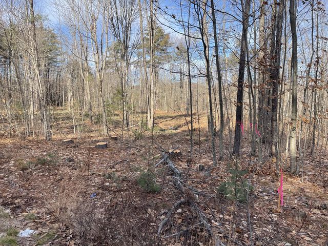Lot 12-1 Maplewood Road, Parsonsfield, ME 04047