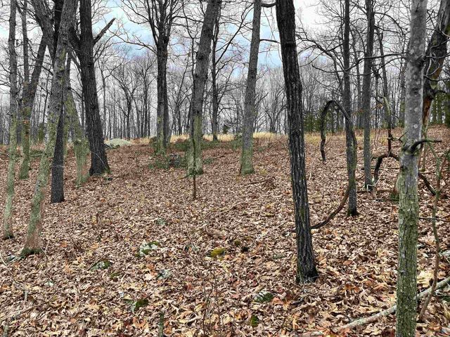 Lot 27 Northwoods Dr, Lincoln, MO 65338