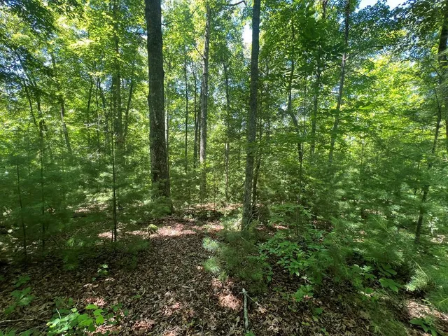 Paw Paw Trl, Murphy, NC 28906