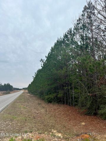 McNeil Steephollow Rd, Carriere, MS 39426