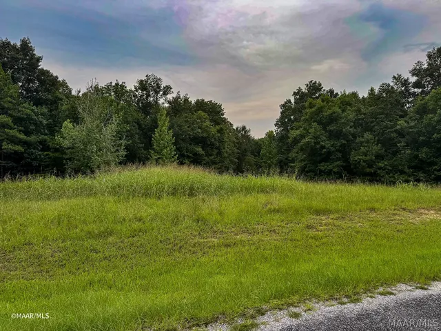 48 Legacy Shrs, Alberta, AL 36720