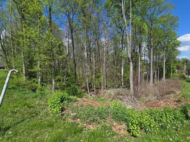 Greenwood Dr, Beckley, WV 25801