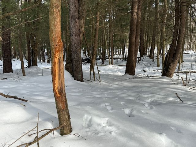 Center Rd #WP001, Townville, PA 16360