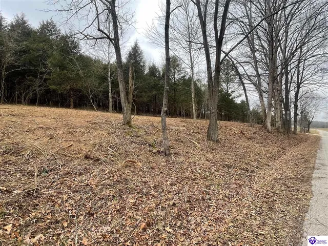 Lot 4A Concord Church Rd, Bonnieville, KY 42713