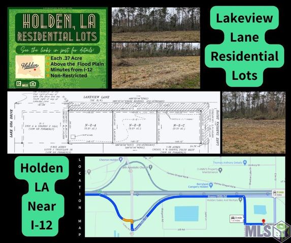 Lakeview Lane C #N-2, Holden, LA 70744