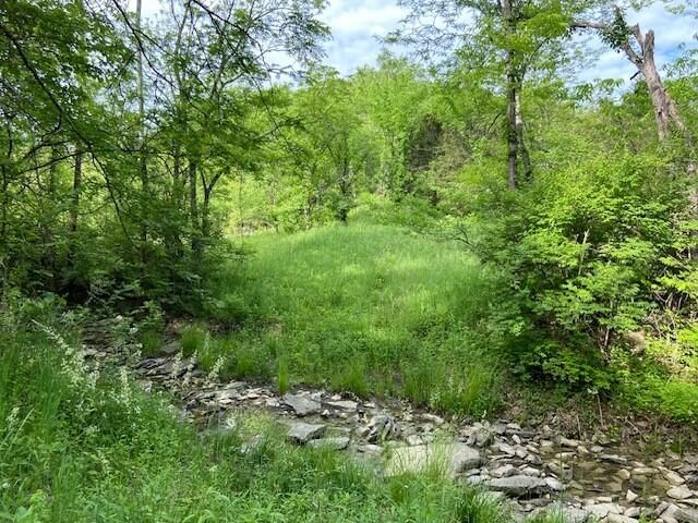Willow Creek Rd, Foster, KY 41043