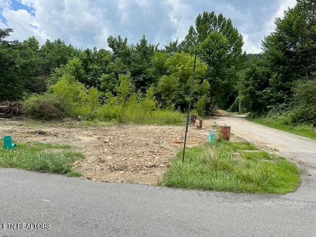 Mexico Ln, Wallins Creek, KY 40873