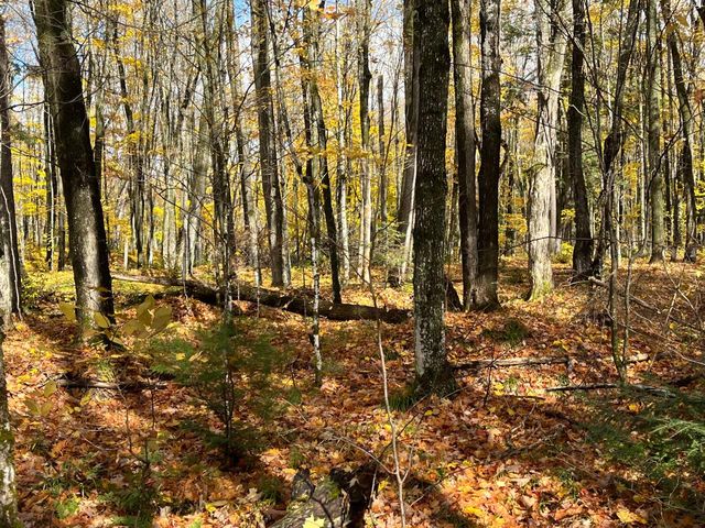 Lot 26 Black Forest Rd, Presque Isle, WI 54557