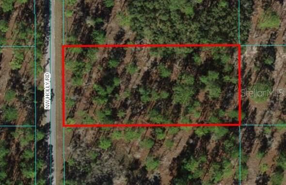 Lot 22 NW Holly Rd #1, Dunnellon, FL 34431