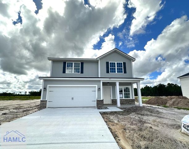 861 Doctors Creek Rd NE, Ludowici, GA 31316