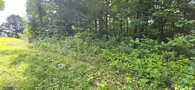 Lot 18 Pine Ln, Maynardville, TN 37807