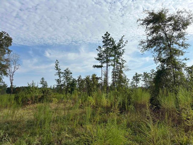 N  Tract Grant County Rd #68, Sheridan, AR 72150