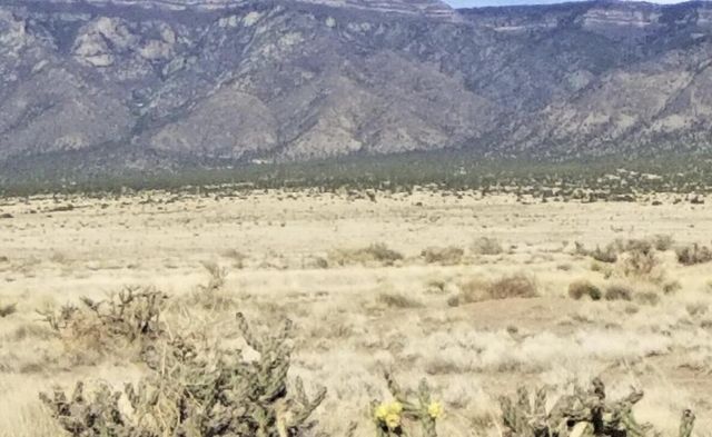 S  Rio Del Oro Loop #34 & 35, Los Lunas, NM 87031
