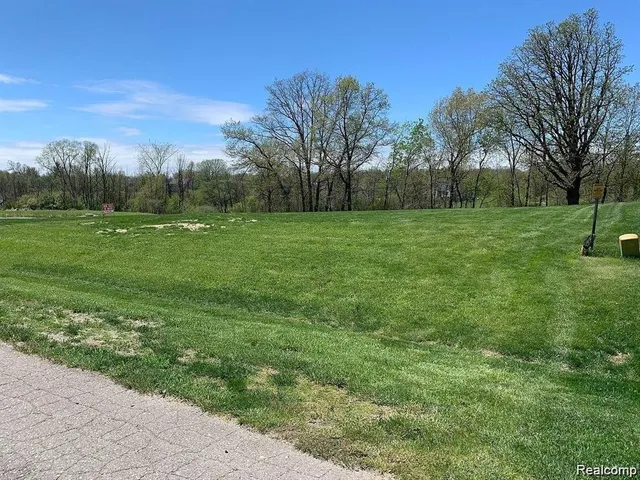 550 Pheasant Ridge Ct, Ortonville, MI 48462