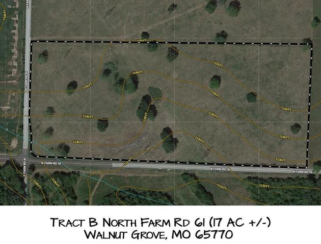 Tract B North Farm Road 61, Walnut Grove, MO 65770