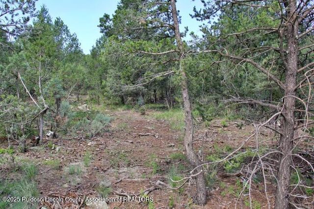 131 Sierra Vista Dr, Alto, NM 88312