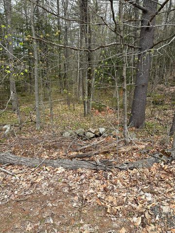 Lot #4 - 344 Moose Hill Road, Livermore Falls, ME 04254