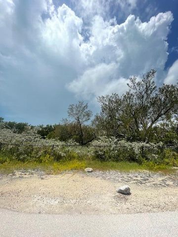 Thatch Ln, Summerland Key, FL 33042