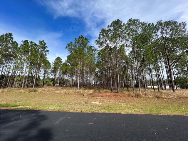 SE 175 Terrace Road Weirsdale #32195, Weirsdale, FL 32195
