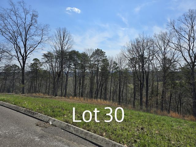 Lot 30 State Highway 60, Birchwood, TN 37308