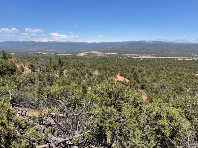 TRACT Dragonfly Canyon Ln   #A, Rowe, NM 87562