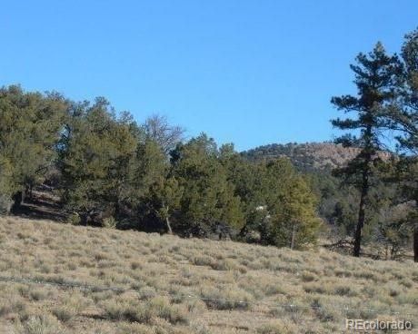 2925 County Road 1, Cotopaxi, CO 81223