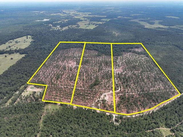 32 Boontown Rd, Groveton, TX 75845
