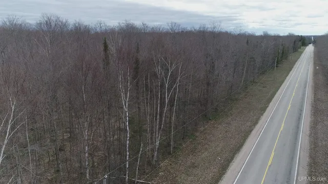 PARCEL County Road 433 Rd #B, Gulliver, MI 49840