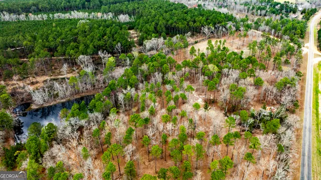 13463 Cowart Pond Rd, Metter, GA 30439