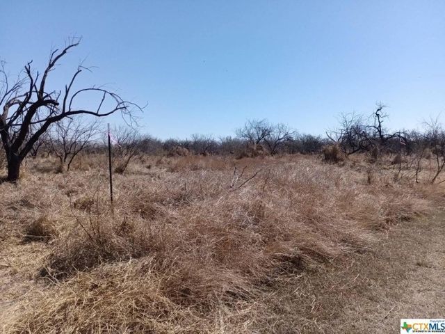 Deer Path Dr, Sandia, TX 78383