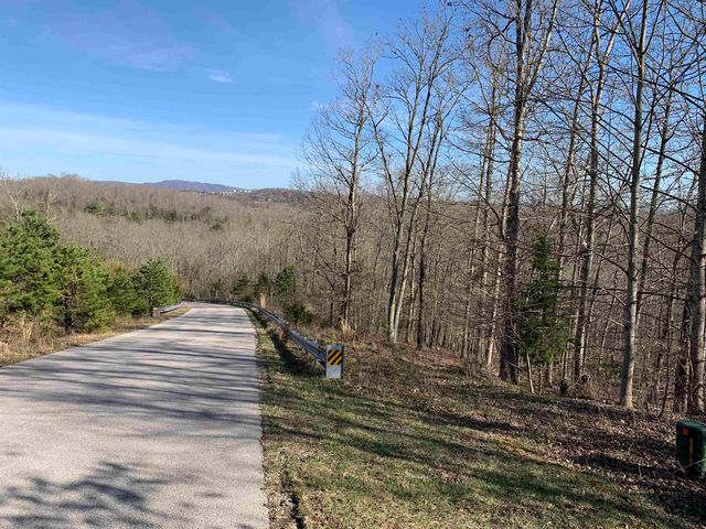 3825 Buck Mountain Rdg, Blacksburg, VA 24060