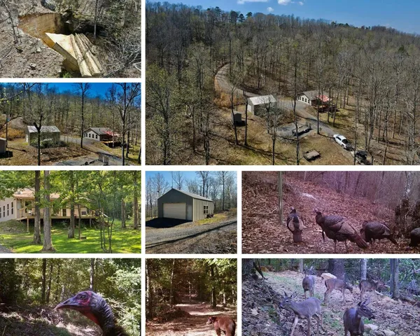 4085 Trace Ridge Rd, Leslie, AR 72645