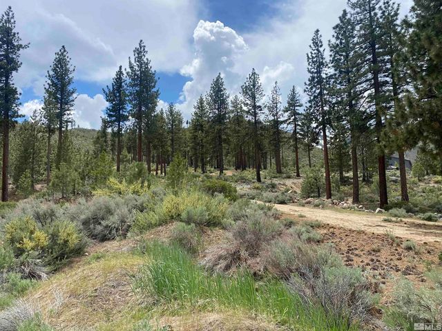 Franktown Ct, Washoe Valley, NV 89704