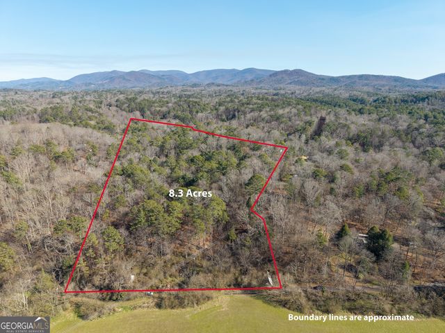 312 Parks Ave, Ellijay, GA 30540