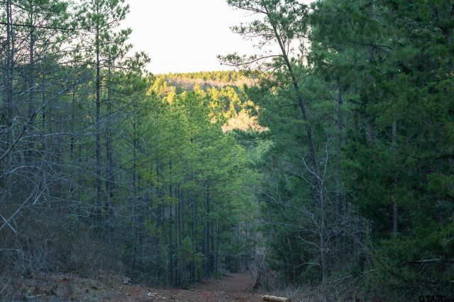 S  Tract Hwy #64, Ben Wheeler, TX 75754