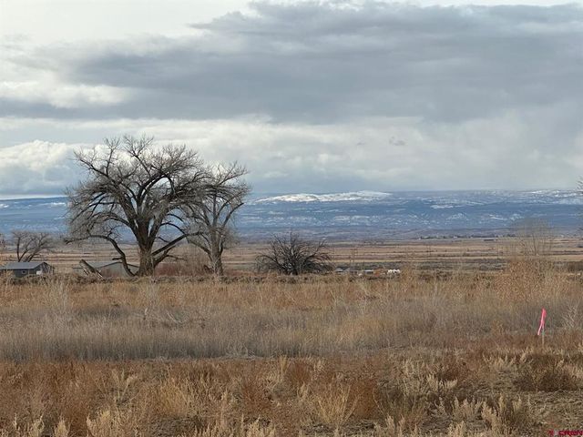 Peach Valley Rd, Montrose, CO 81401