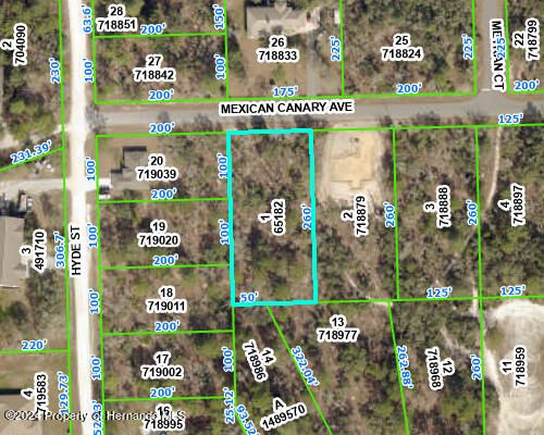Lot 1 Mexican Canary Ave, Brooksville, FL 34614