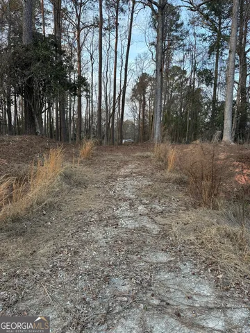 129 W  Wooten St, Tignall, GA 30668