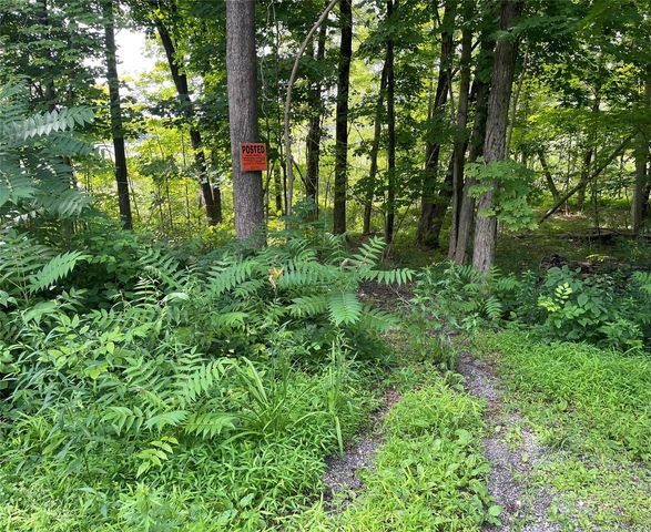 0 Fiddler's Bridge/Schoolhouse Rd, Clinton Corners, NY 12514